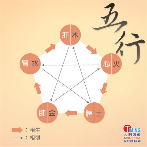 五行功效|中醫知識 